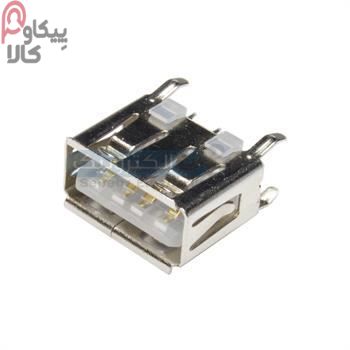 تصویر جک کانکتور USB پایونیری