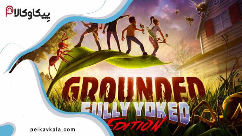 پوستر Grounded بازی ایکس باکس