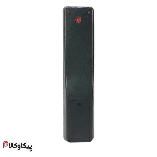 کنترل تلویزیون Xvision ایکس ویژن دکمه سبز - تصویر 2